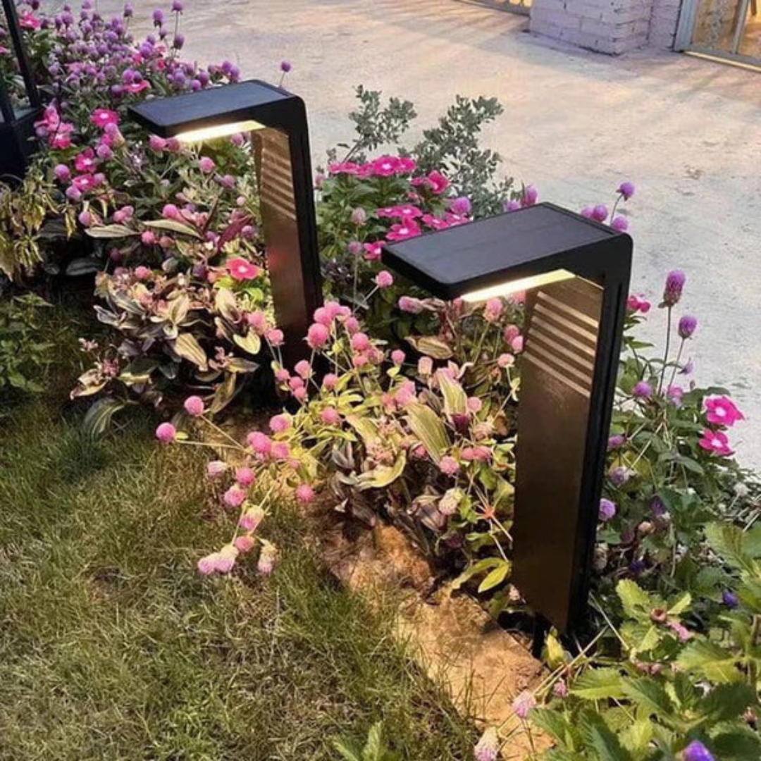 EcoGlow | Solar Lights Outdoor with Automatic Lighting | Energy-Efficient Design for Sustainable Garden Illumination 3