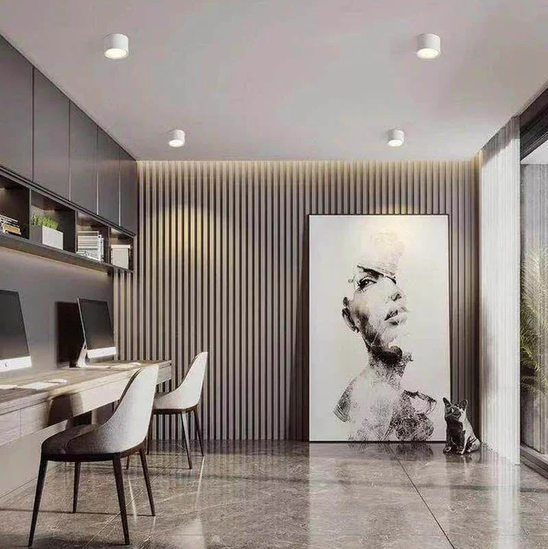 Emberlynn | LED Downlight Surface Mounted with Adjustable Light Temperatures | Sleek Black Design for Modern Interiors 5