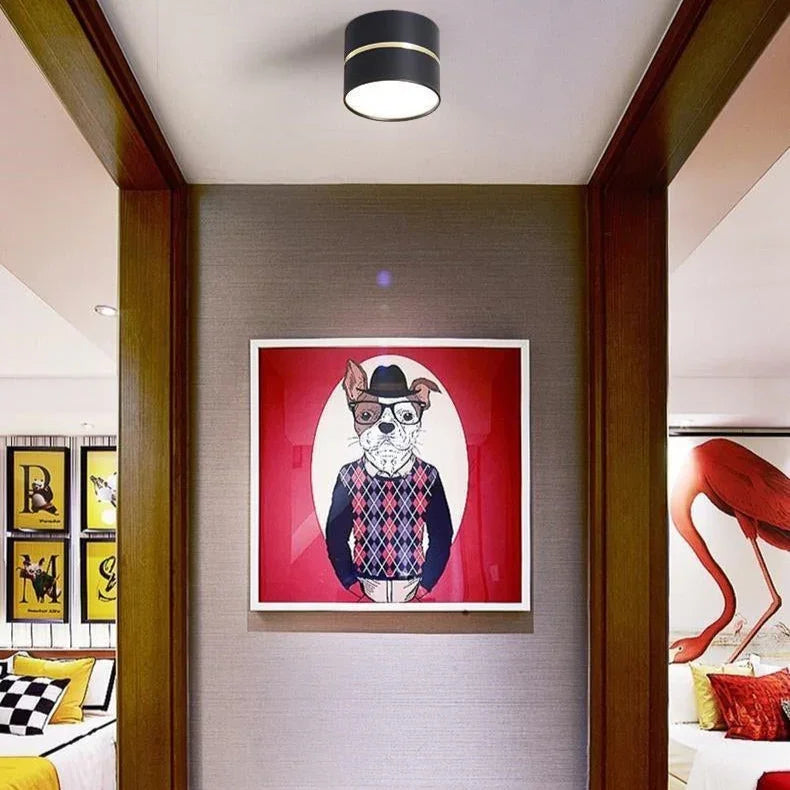 LED Surface Mounted Downlight with Adjustable Lighting | Modern Design for Versatile Indoor Use 4