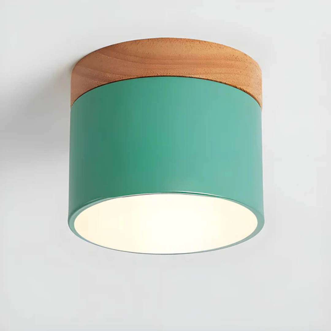 Bawley vintage ceiling downlight dimmable feature demonstration