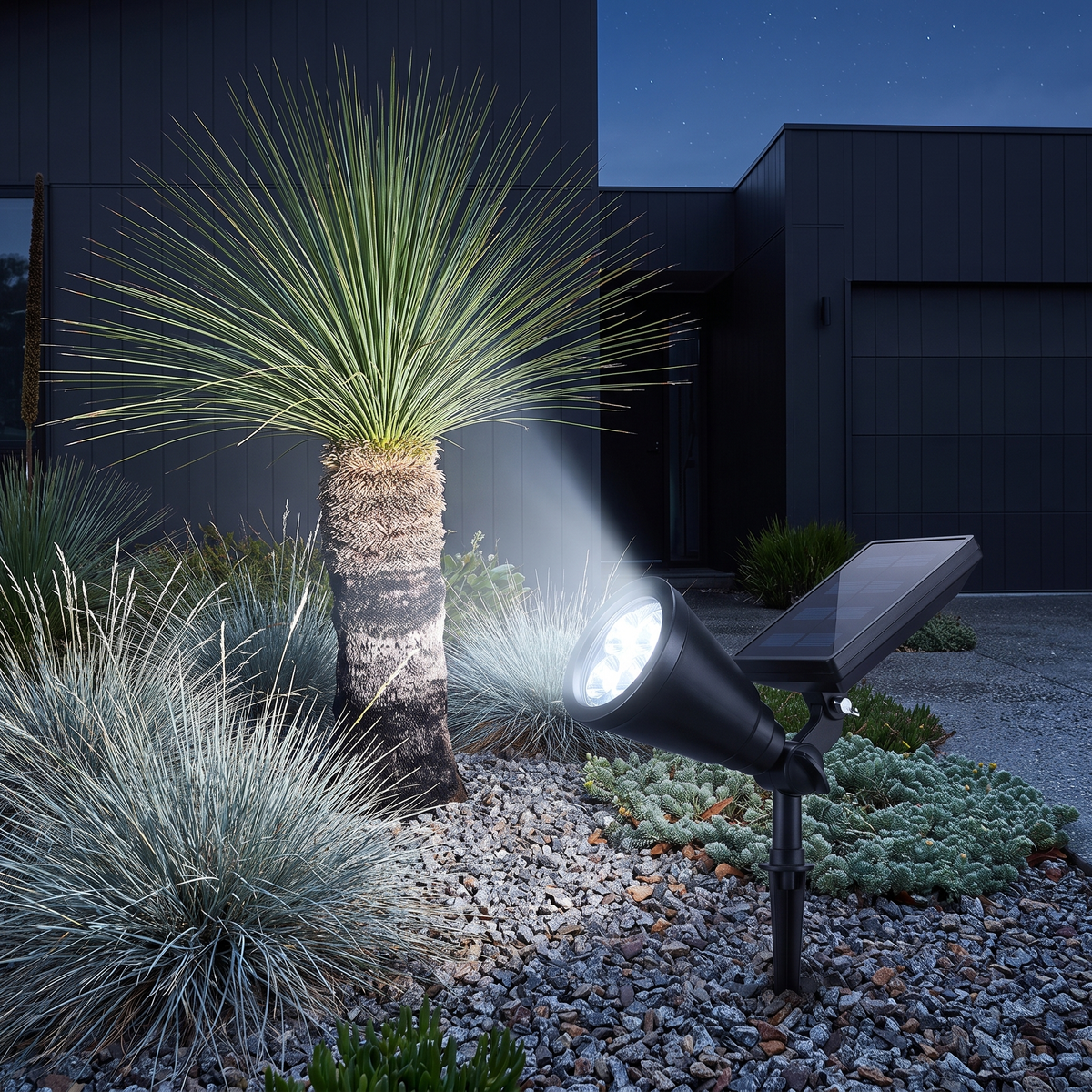 Bea solar ground spotlight in cool white highlighting a grass tree in a native garden