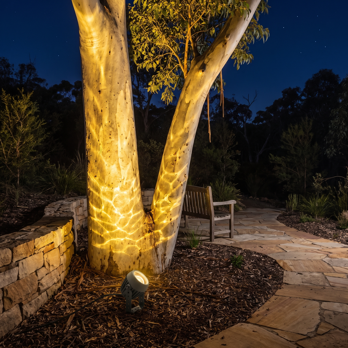 Beso outdoor ripple spotlight uplighting a gum tree with a golden yellow water ripple effect