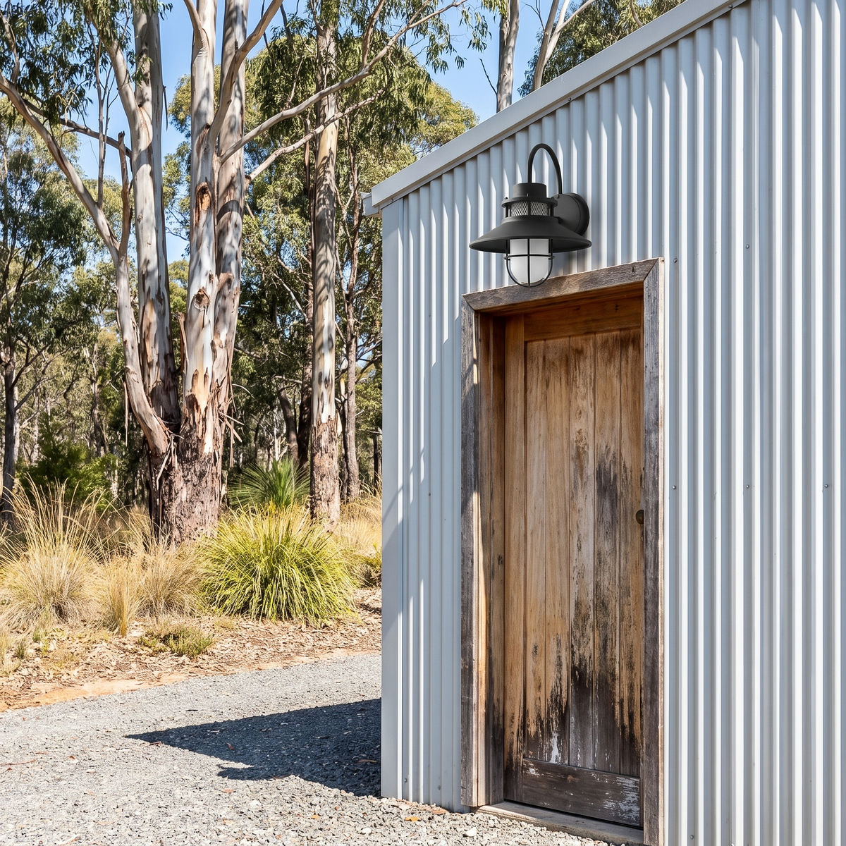 Docking vintage outdoor wall light above the timber door of a corrugated iron shed among gums