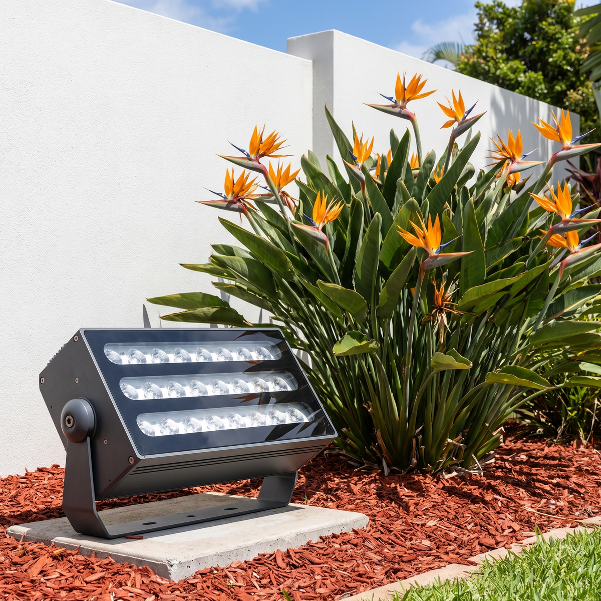 Honnibal RGB LED flood light below birds-of-paradise against a white rendered wall on a bright day