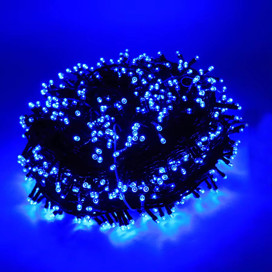 Mulligan blue LED fairy lights glowing on dark green wire