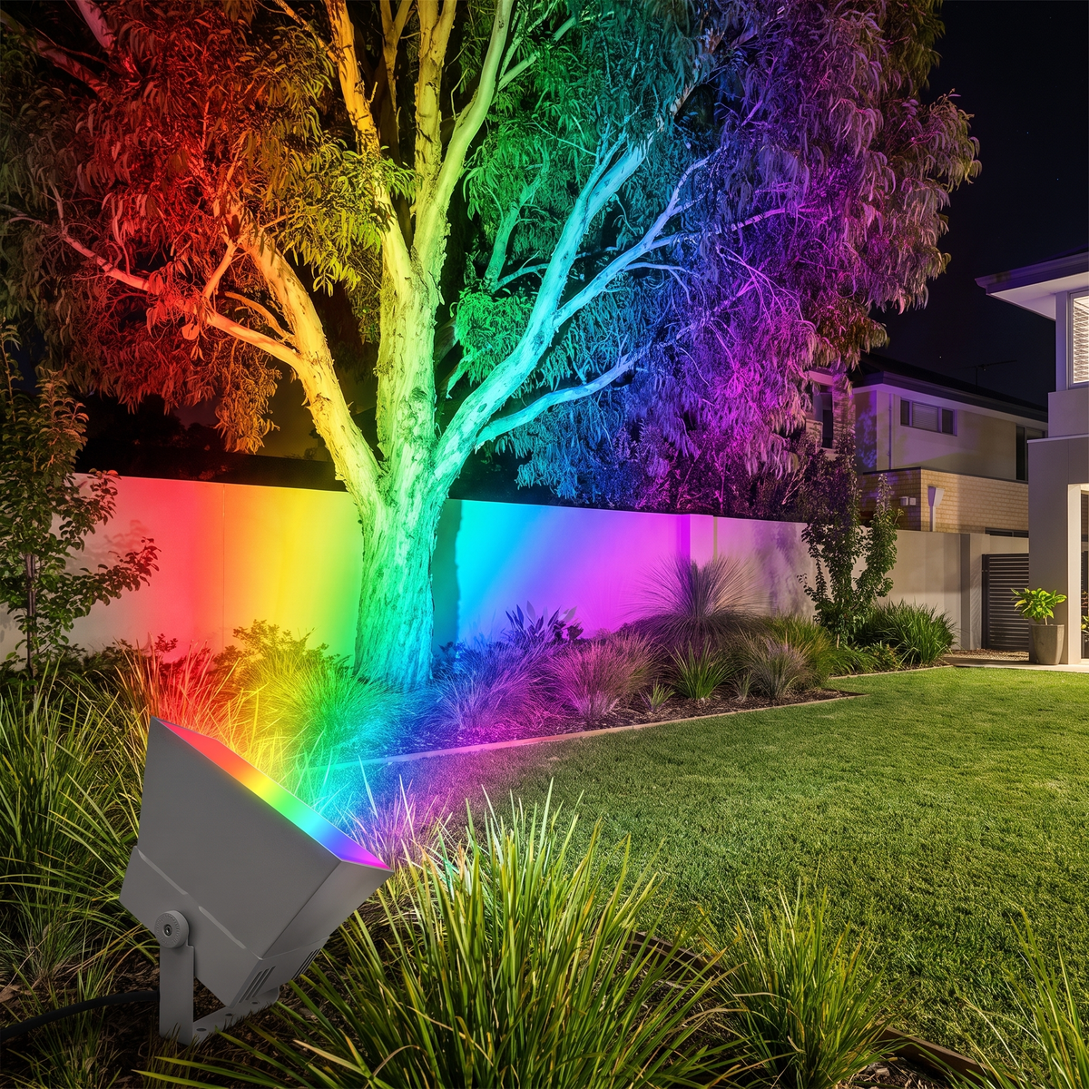 Oxford RGB outdoor spotlight casting a rainbow wash over a spotted gum and garden wall at night