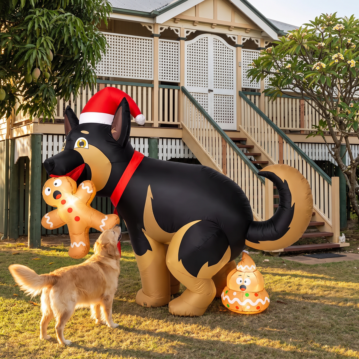Perro inflatable Christmas dog on a Queenslander lawn next to a golden retriever
