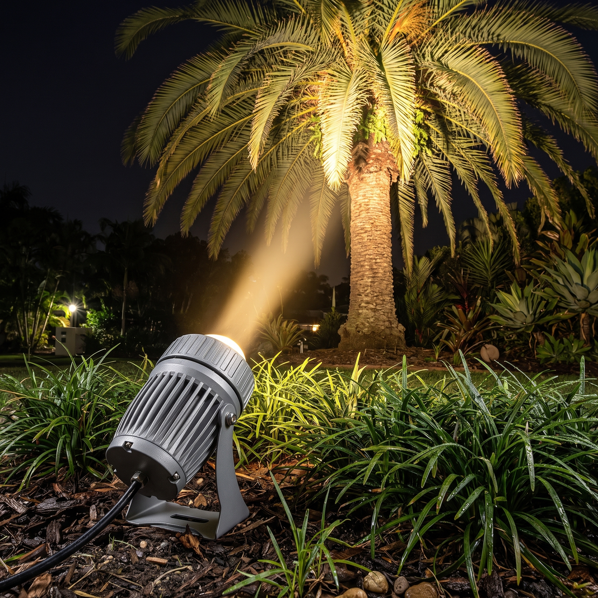 Solara 1000 lumen LED outdoor spotlight in warm white uplighting a palm tree
