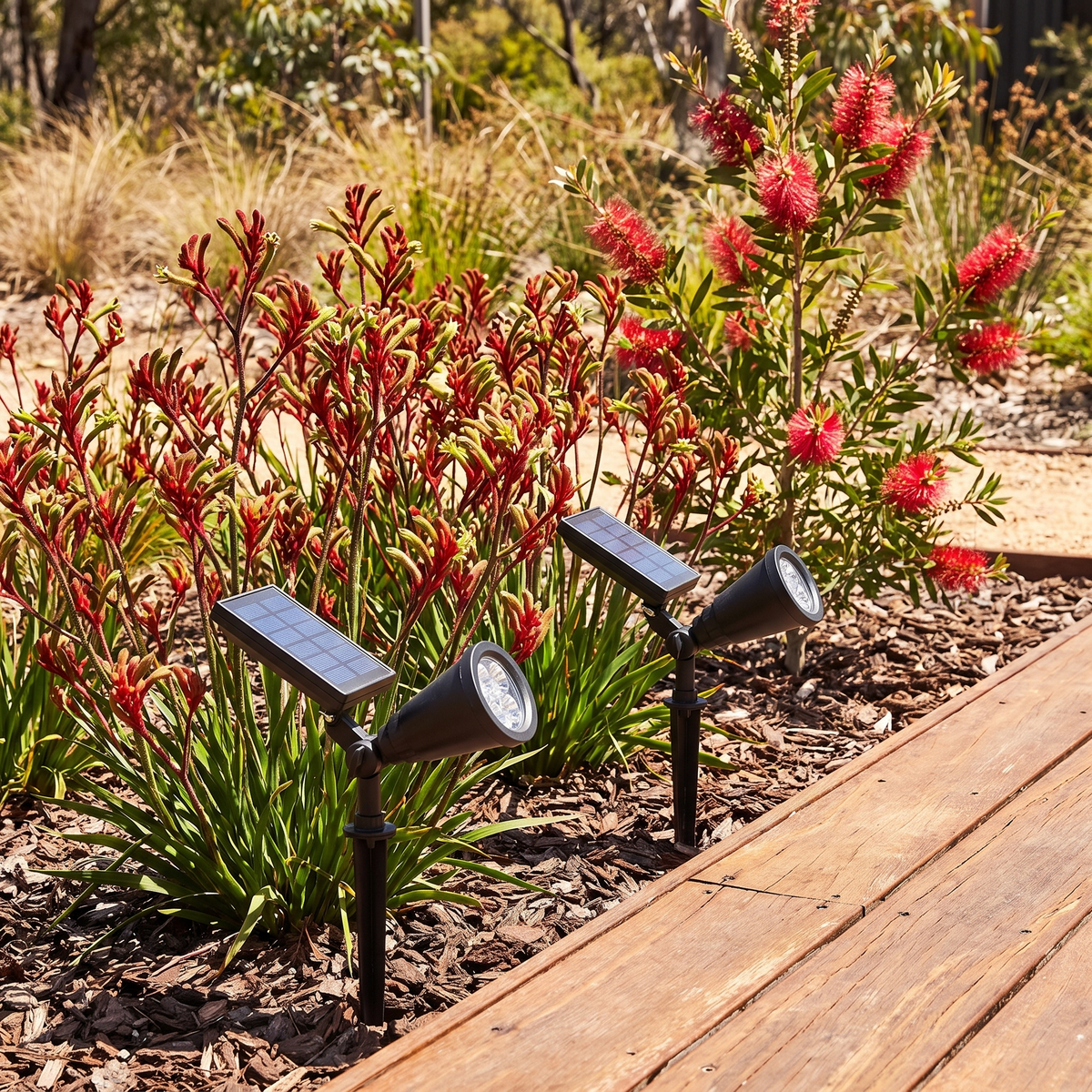 Two Bea adjustable solar spotlights staked in a garden bed charging in daytime sun