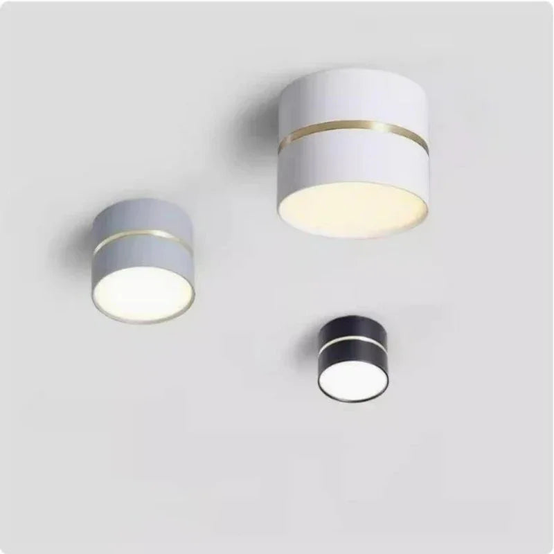 LED Surface Mounted Downlight with Adjustable Lighting | Modern Design for Versatile Indoor Use 1