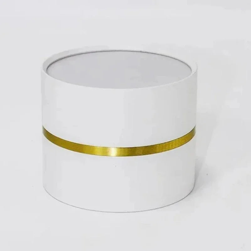 LED Surface Mounted Downlight with Adjustable Lighting | Modern Design for Versatile Indoor Use 7