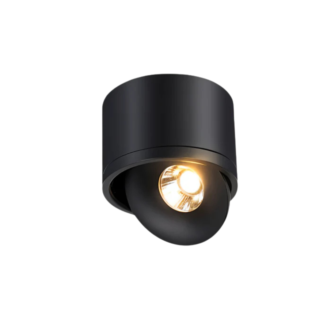 Selas Collection | Flush Mount Ceiling Light with 360° Rotatable LED | Energy-Efficient Illumination for Modern Spaces 0