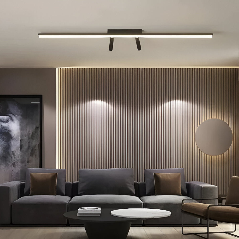 Acanthus Rail Spotlight highlighting artwork on a wall