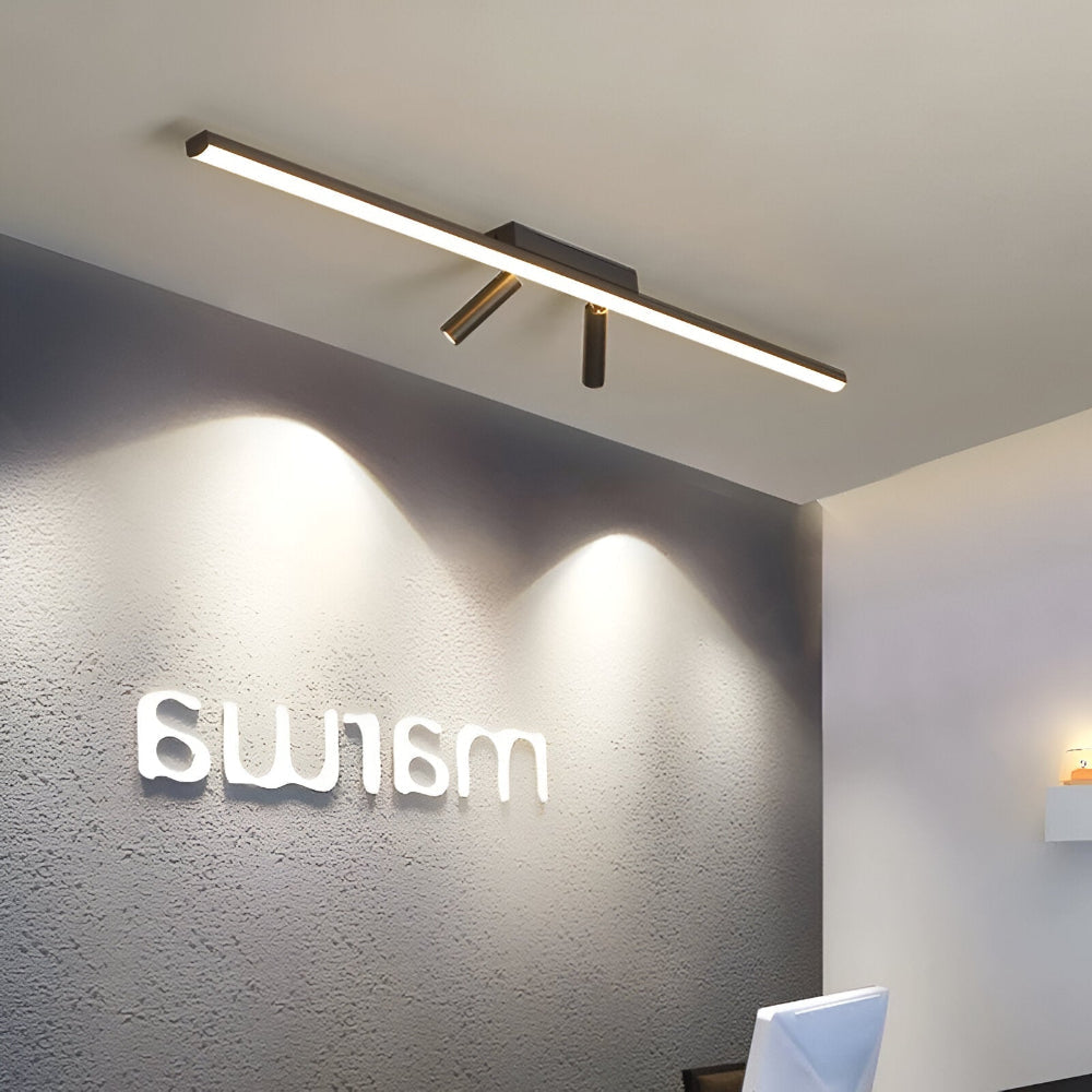 Close-up of the Acanthus spotlight's swiveling LED heads
