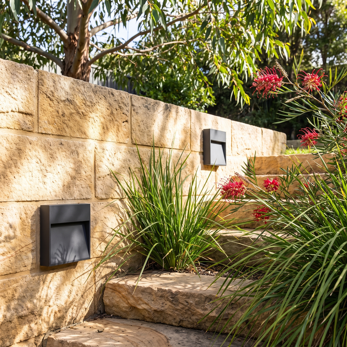 Ames LED outdoor step lights on a sandstone retaining wall beside garden steps with grevillea