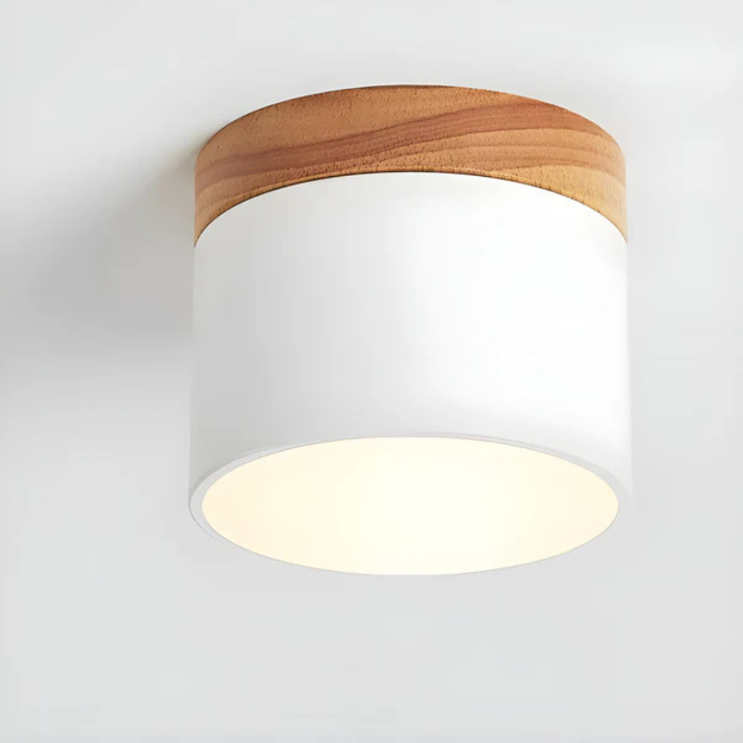 Bawley vintage ceiling downlight installed in living room