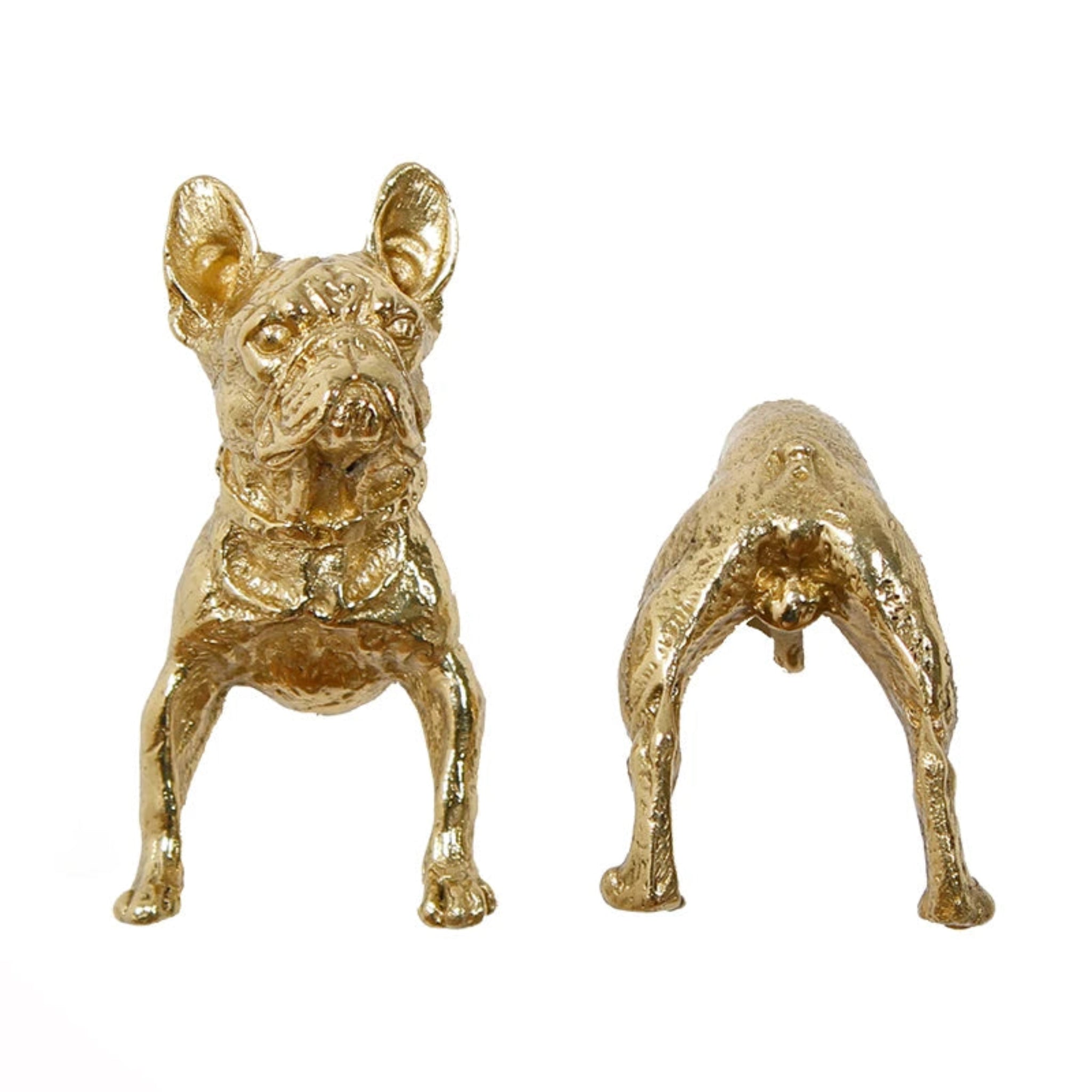 Glauco Brass Dog Cabinet Handle close-up of the brass finish