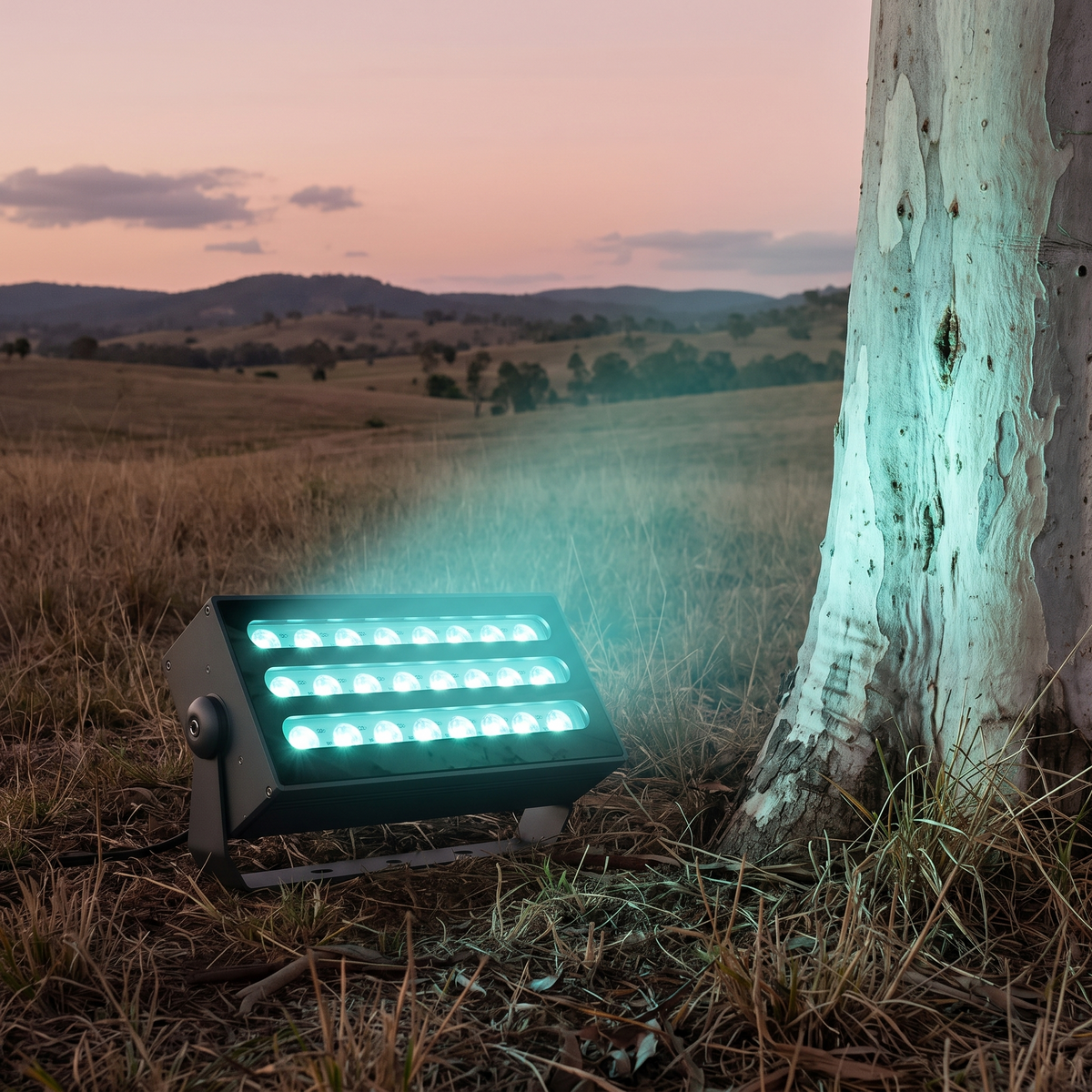 Honnibal RGB LED flood light washing a ghost gum trunk in teal in hinterland paddocks at dusk