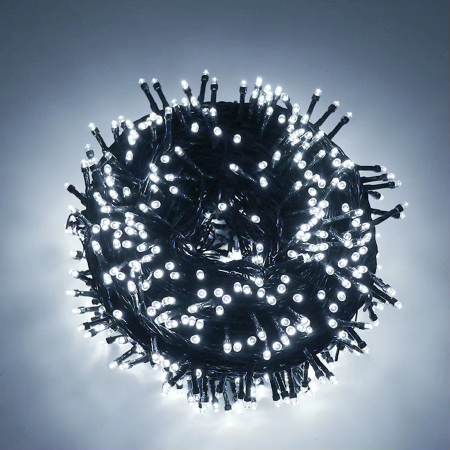 Mulligan white LED fairy lights glowing on dark green wire
